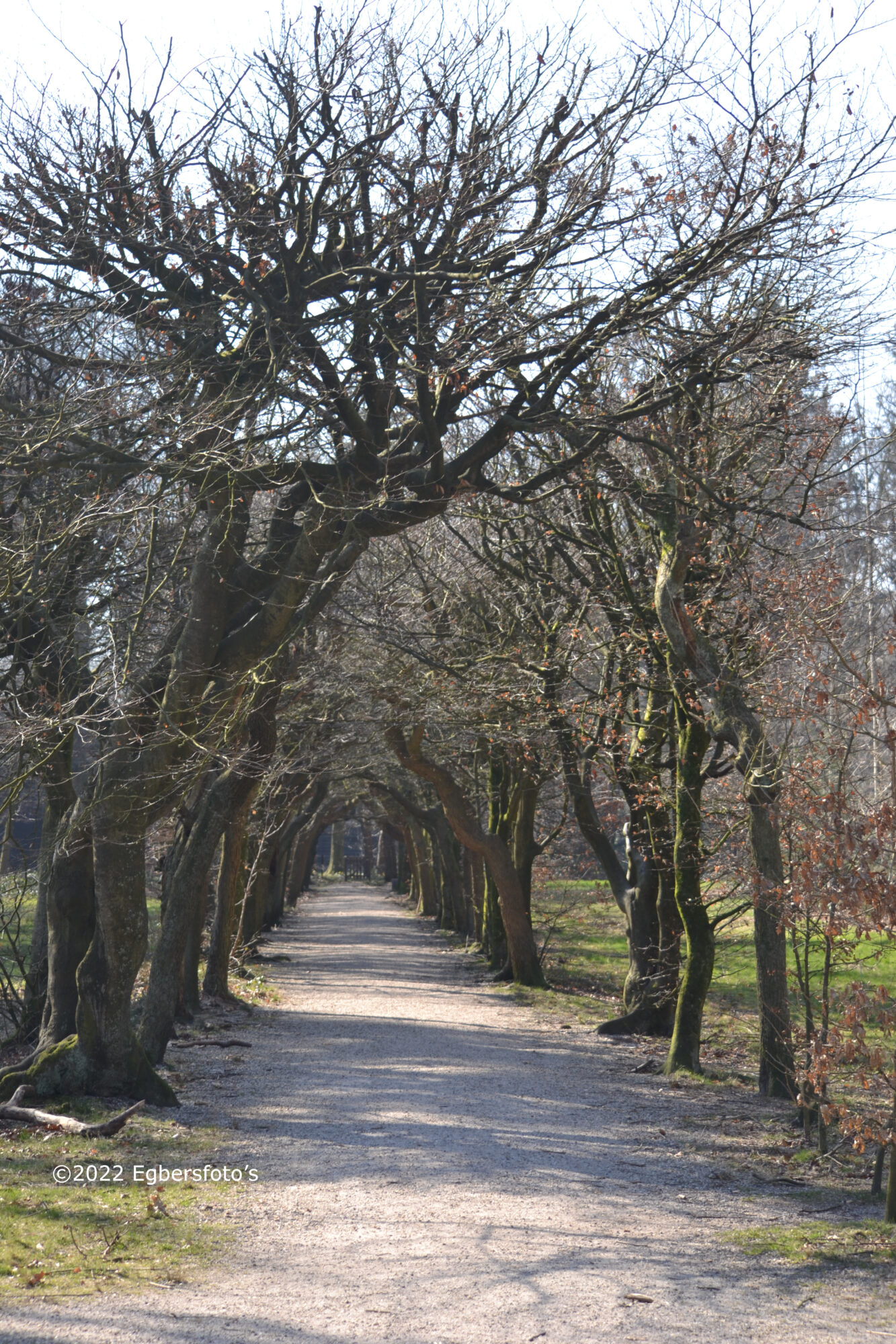 Doorkijk  tuin tegenover Paleis