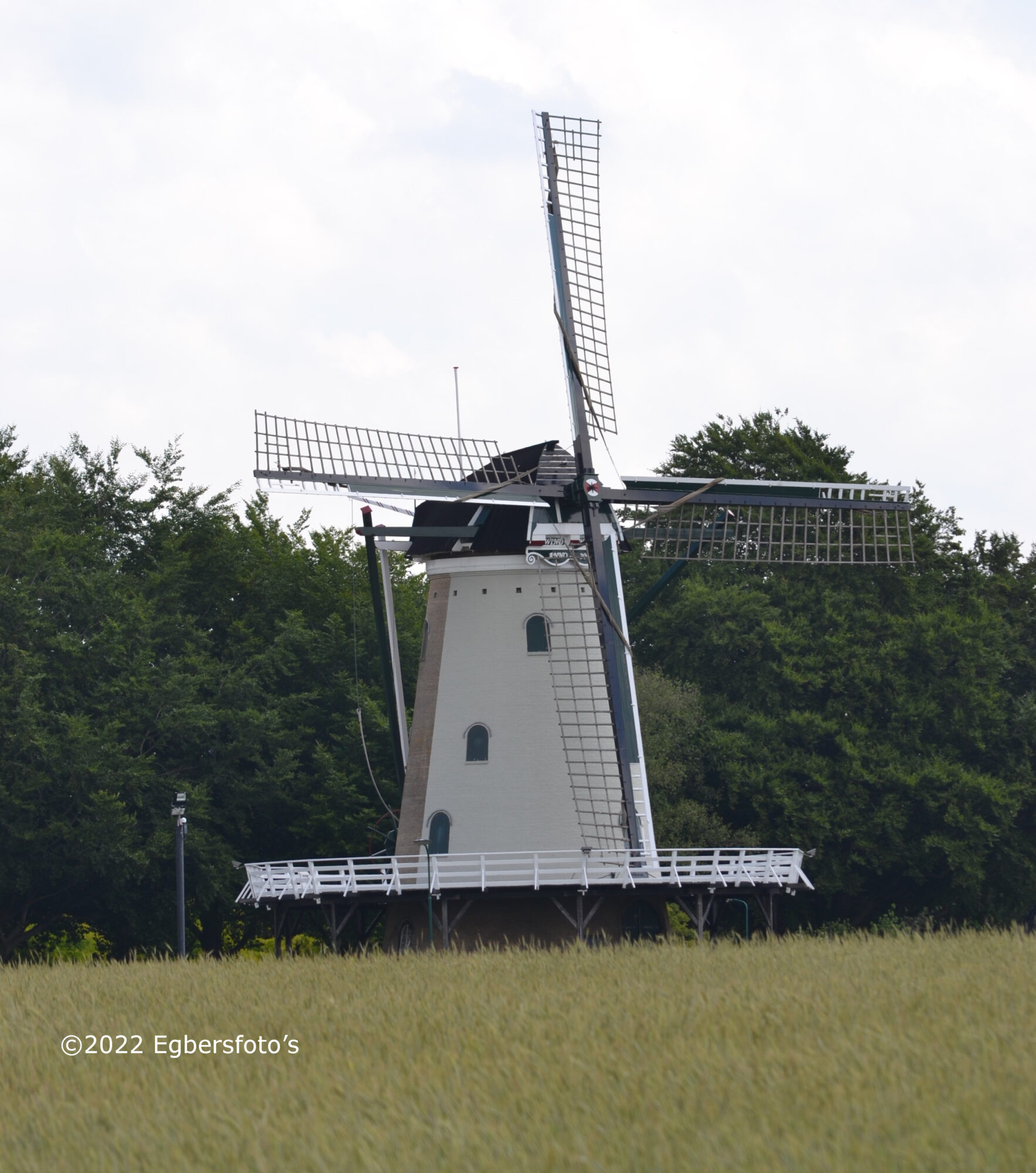 molen de Windhond