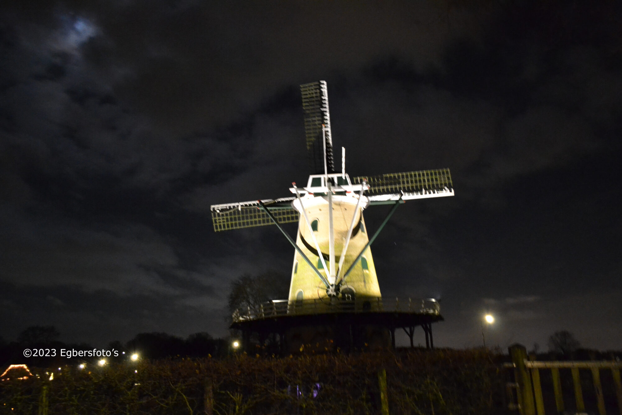 De Windhond in het licht