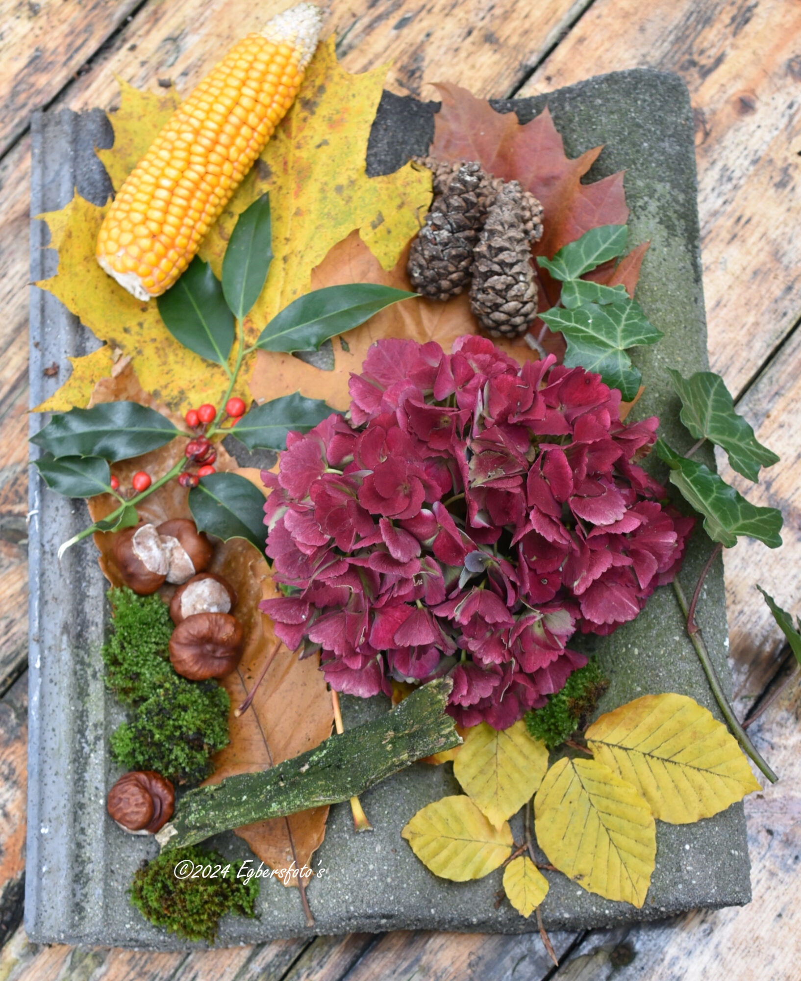 Herfst stukje op dakpan