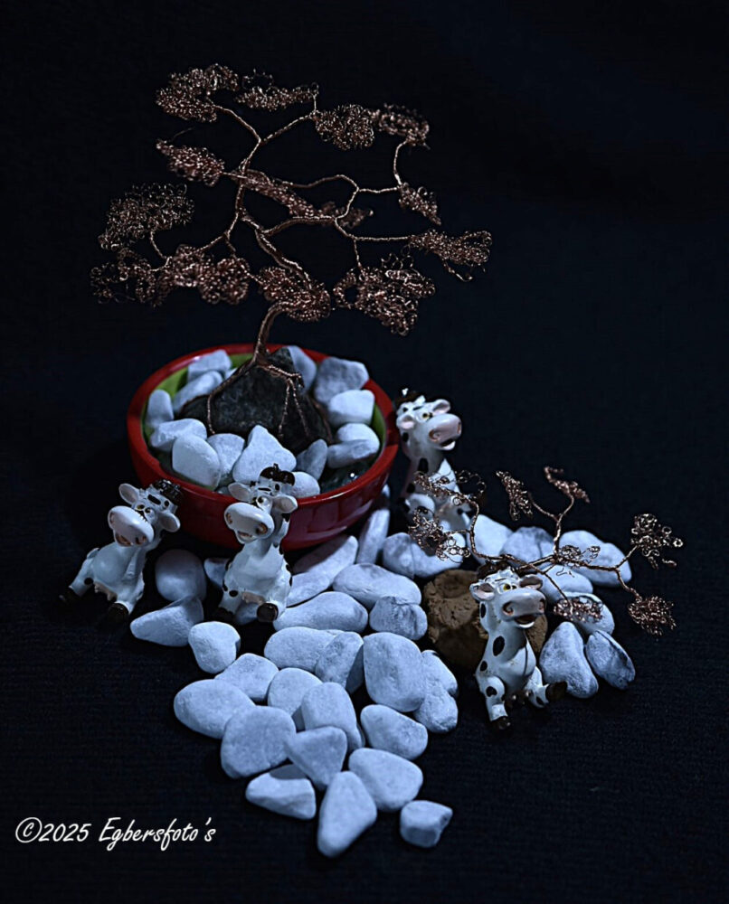 Bonsai boompje met koeien