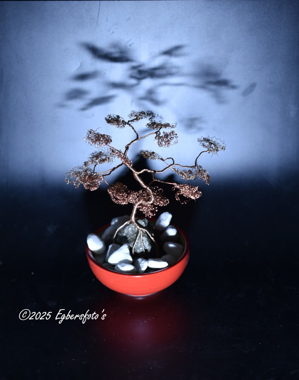 Bonsaiboompje in het licht