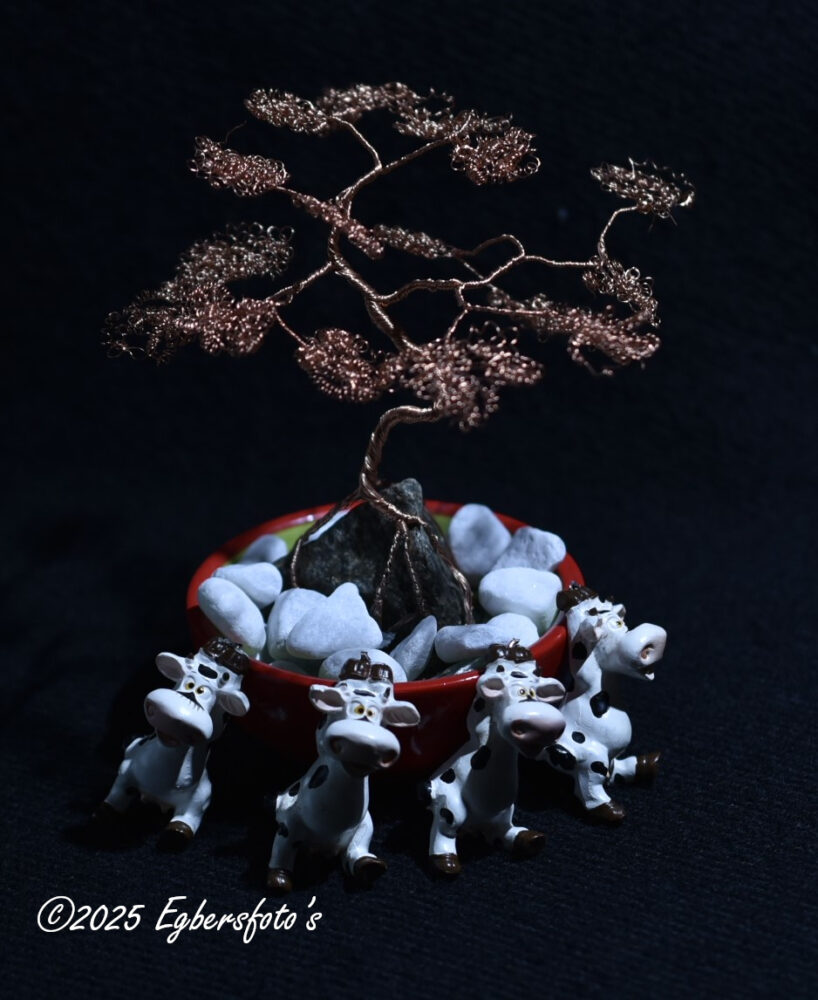 Bonsai boompje met koeien