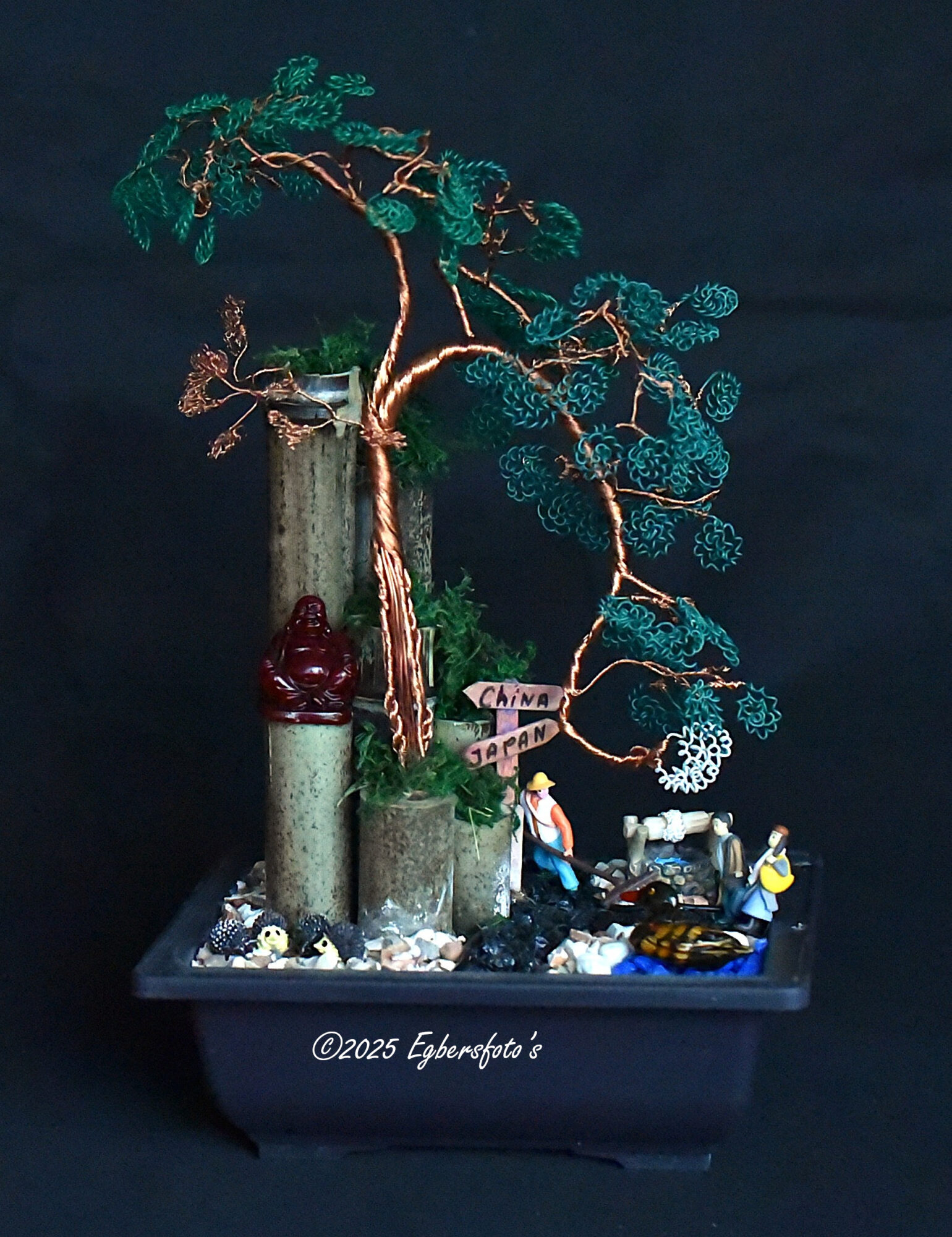Bonsai bakje zwart