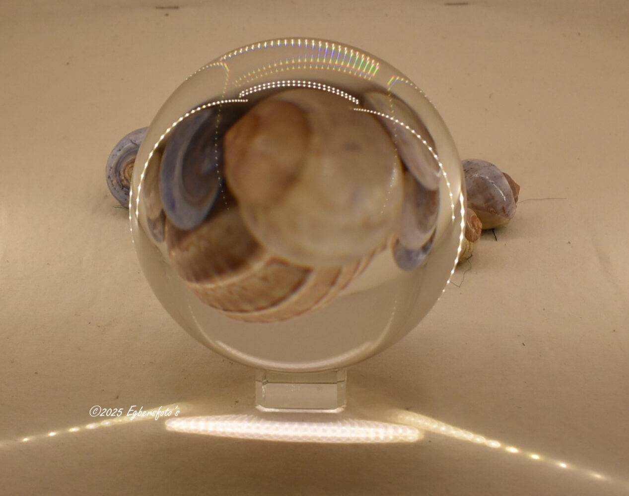 Glazenbol met led lampjes