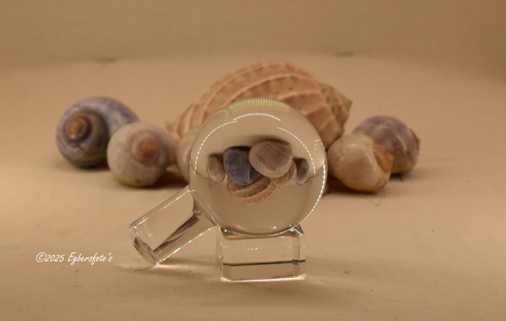 schelpen met glazenbol