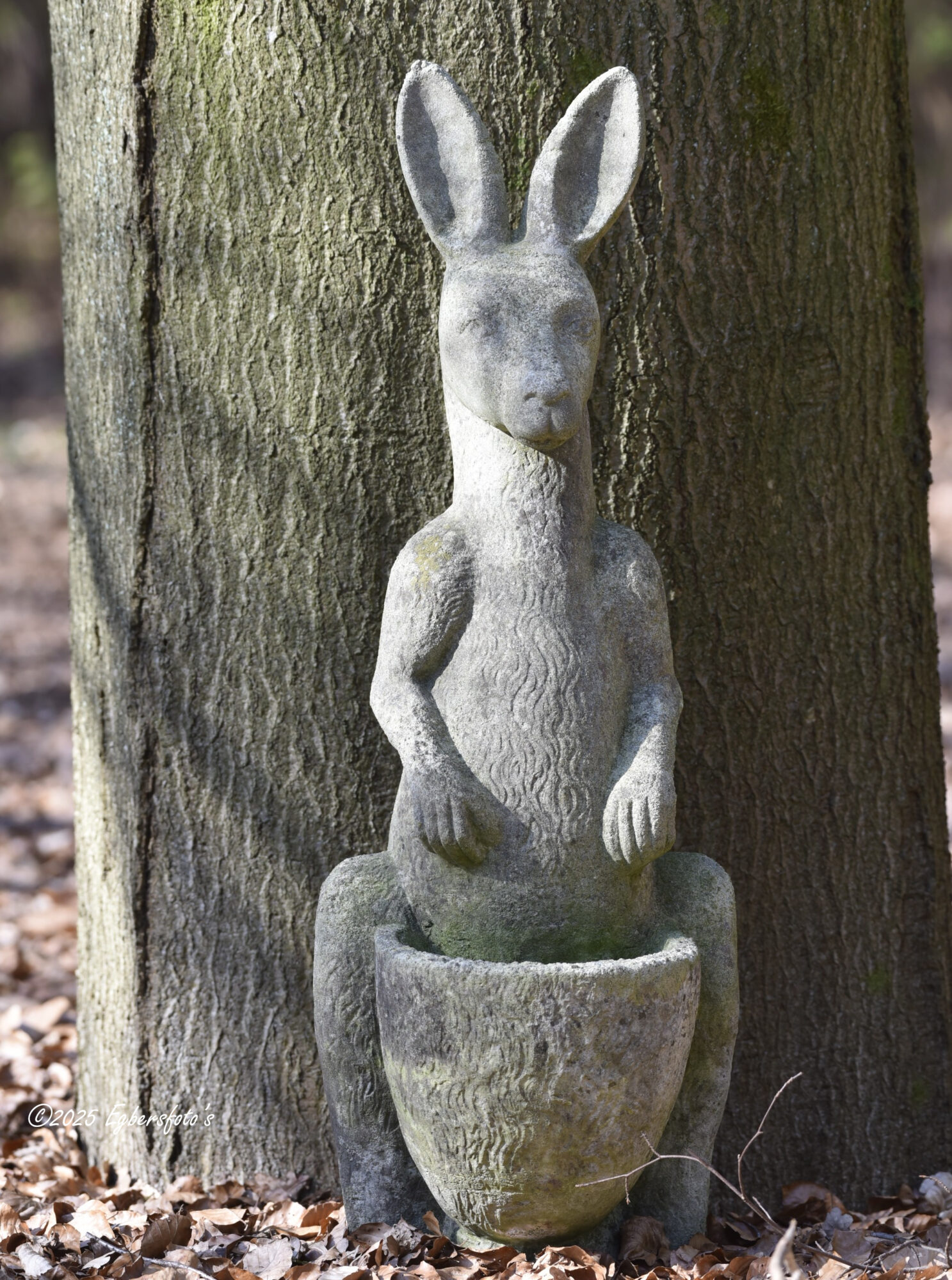 Kangoeroe beeld