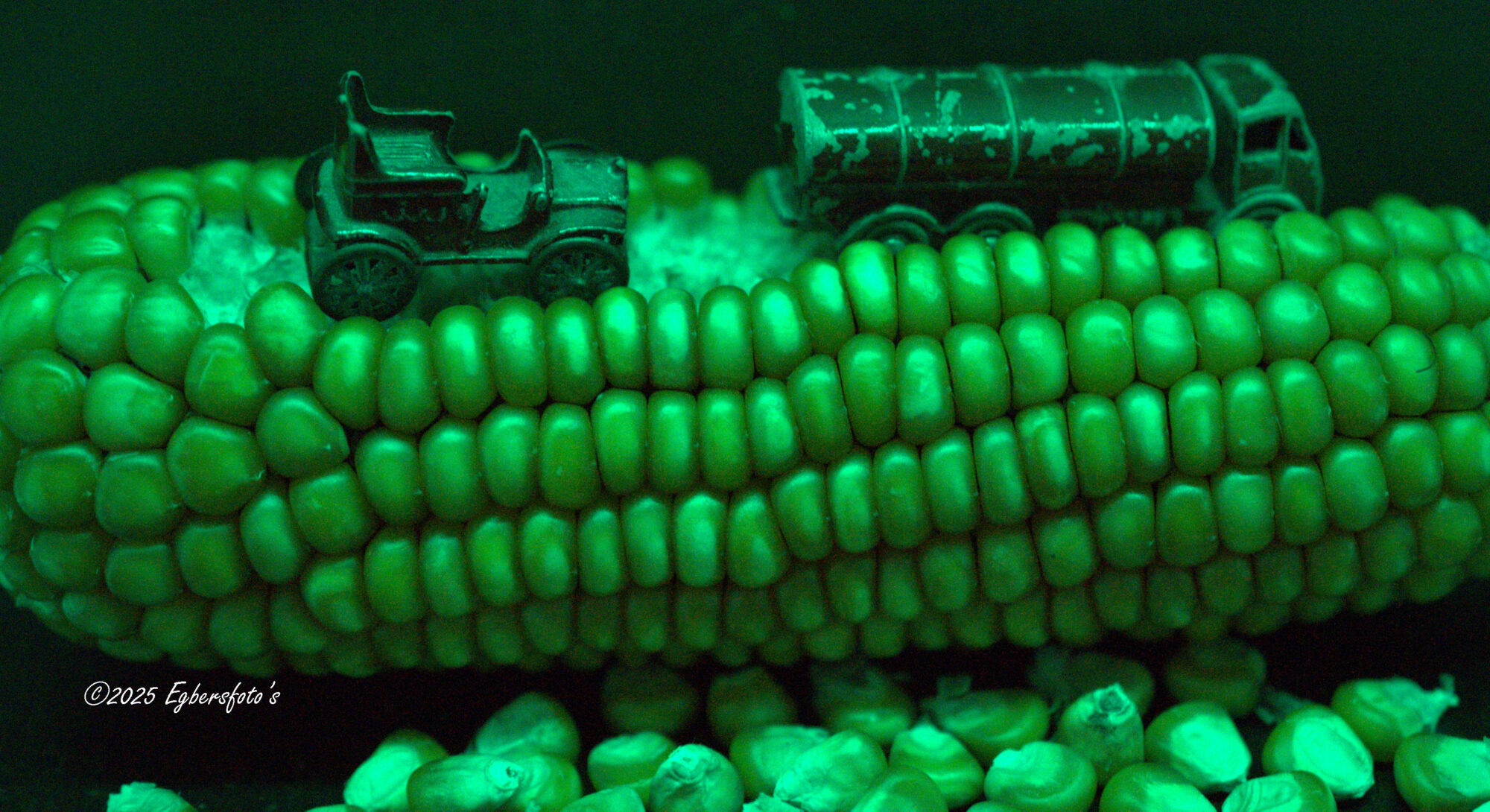 Mais in het groen uitgelicht